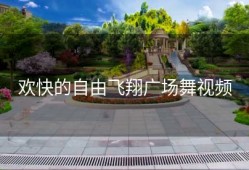 欢快的自由飞翔广场舞视频