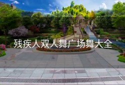 残疾人双人舞广场舞大全