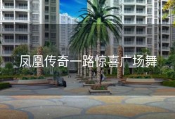 凤凰传奇一路惊喜广场舞