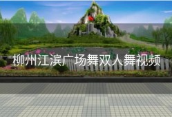 柳州江滨广场舞双人舞视频