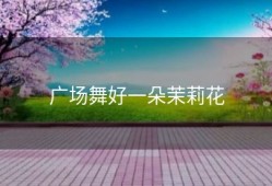 广场舞好一朵茉莉花