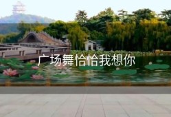 广场舞恰恰我想你