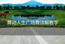 舞动人生广场舞详解教学