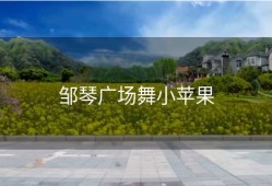 邹琴广场舞小苹果