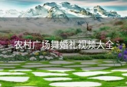 农村广场舞婚礼视频大全