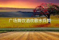 广场舞饮酒欢歌水兵舞