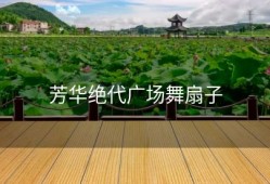 芳华绝代广场舞扇子