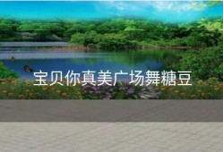 宝贝你真美广场舞糖豆