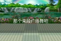 那个来段广场舞吧