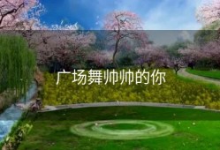 广场舞帅帅的你