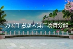 万爱千恩双人舞广场舞分解