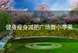 健身瘦身减肥广场舞小苹果