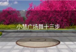 小慧广场舞十三步