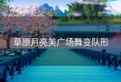 草原月亮美广场舞变队形