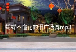 蝴蝶不懂花的泪广场舞mp3