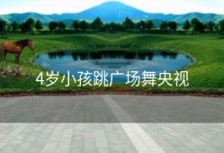 4岁小孩跳广场舞央视