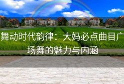 舞动时代韵律：大妈必点曲目广场舞的魅力与内涵