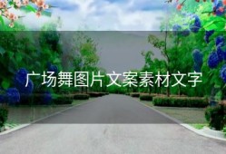 广场舞图片文案素材文字