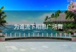 为谁流下相思广场舞