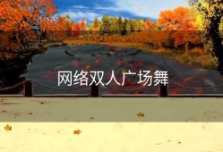 网络双人广场舞