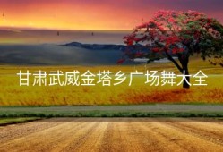甘肃武威金塔乡广场舞大全