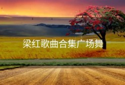 梁红歌曲合集广场舞