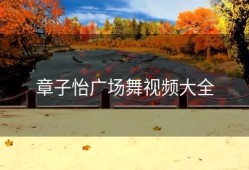 章子怡广场舞视频大全