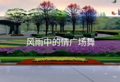 风雨中的情广场舞