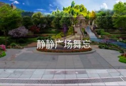 静静广场舞忘