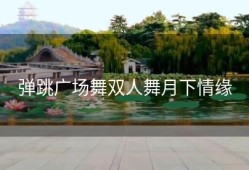 弹跳广场舞双人舞月下情缘