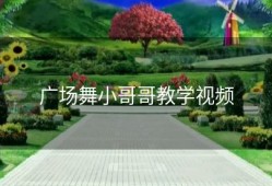 广场舞小哥哥教学视频