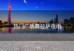 热门广场舞拉萨夜雨