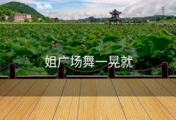 姐广场舞一晃就