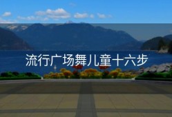 流行广场舞儿童十六步