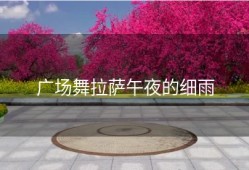 广场舞拉萨午夜的细雨