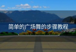 简单的广场舞的步骤教程
