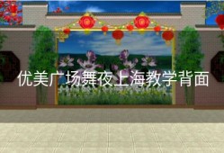 优美广场舞夜上海教学背面