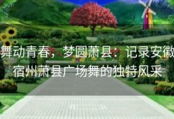 舞动青春，梦圆萧县：记录安徽宿州萧县广场舞的独特风采