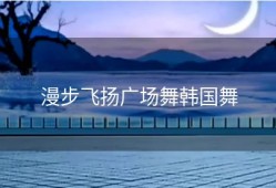 漫步飞扬广场舞韩国舞