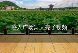 感人广场舞天亮了视频