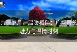 共舞岁月，温暖相伴：广场舞的魅力与温情时刻