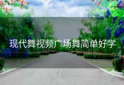 现代舞视频广场舞简单好学