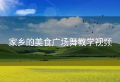 家乡的美食广场舞教学视频