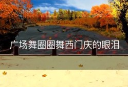 广场舞圈圈舞西门庆的眼泪