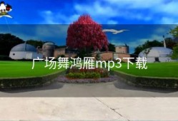 广场舞鸿雁mp3下载