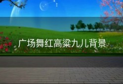 广场舞红高粱九儿背景