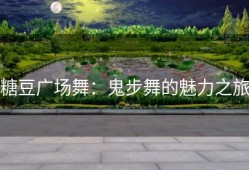 糖豆广场舞：鬼步舞的魅力之旅