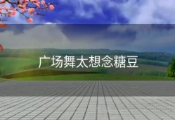 广场舞太想念糖豆