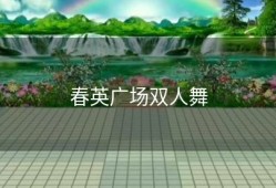 春英广场双人舞