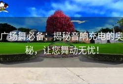 广场舞必备：揭秘音响充电的奥秘，让您舞动无忧！